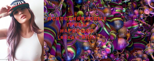 ECSTASY Белокуриха
