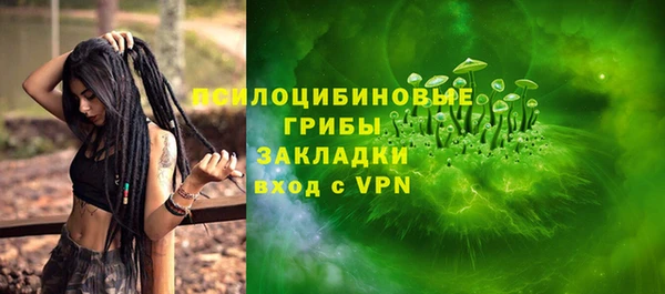 ECSTASY Белокуриха